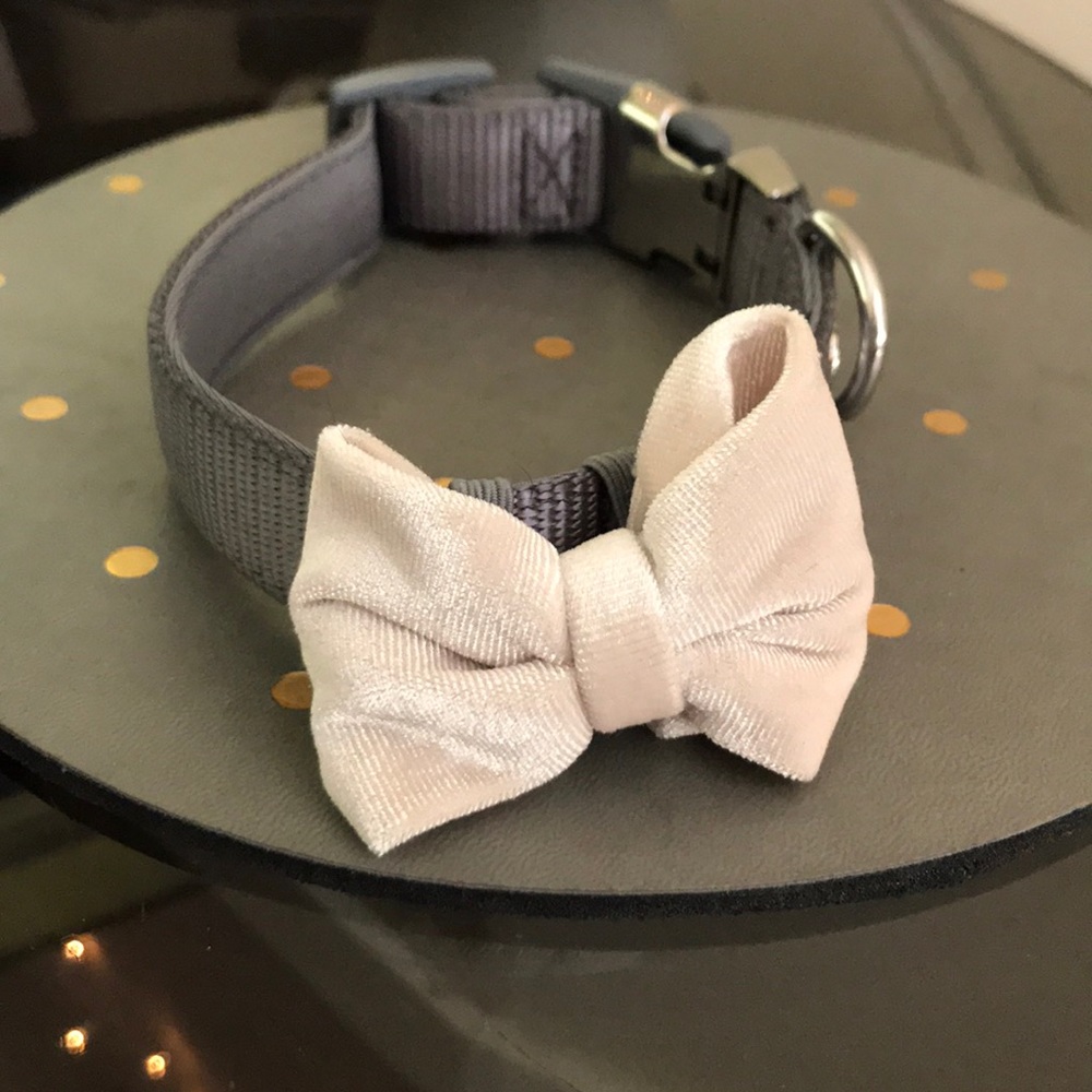 Puppy Collar 🐶